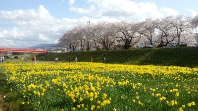 20160417_150813.jpg