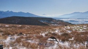 ④富士山遠望.jpg