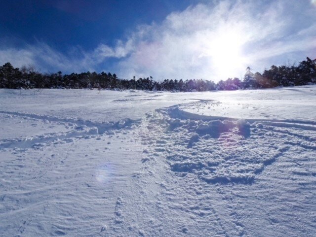 蓼科雪面.jpg