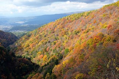 横谷渓谷蓼科／秋_40260_L-thumb-400x266-40553.jpg