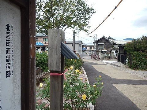 1.鼠宿跡.JPG