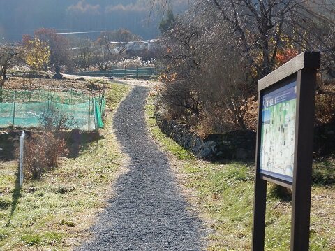 4.220201鎌倉道遊歩道.jpg