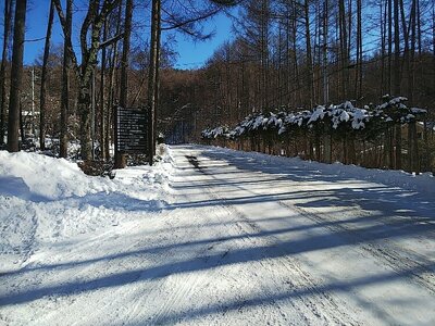 道路状況⑤.jpg