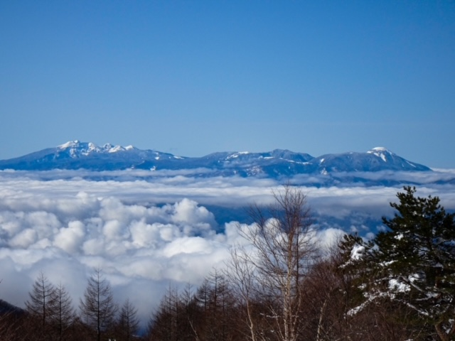 湯ノ丸山から八ヶ岳.png