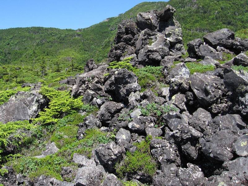 3b.八丁原熔岩（坪庭）.JPG