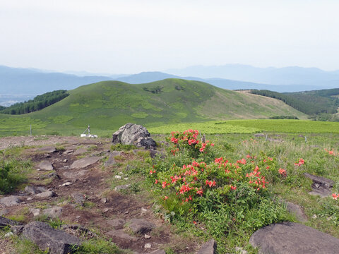 霧ヶ峰4.JPG