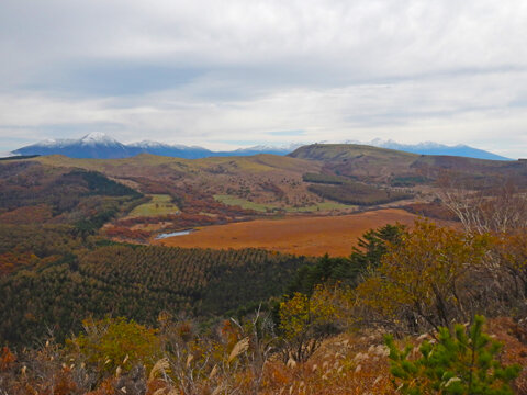 3.201102八島ヶ原湿原.jpg